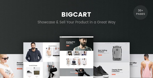 BigCart - Responsive Shopify Template (Sections Ready)