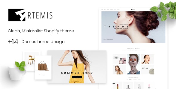 Shopify Theme Minimal - Artemis