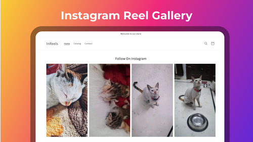 IRS Shoppable Instagram Reels