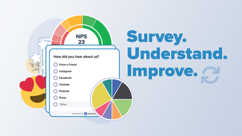 Zigpoll Customer Surveys