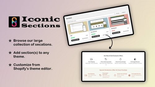 Iconic Section: Theme Sections