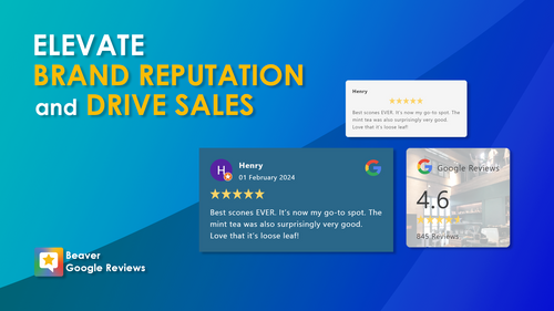 Google Review Importer by WizQ