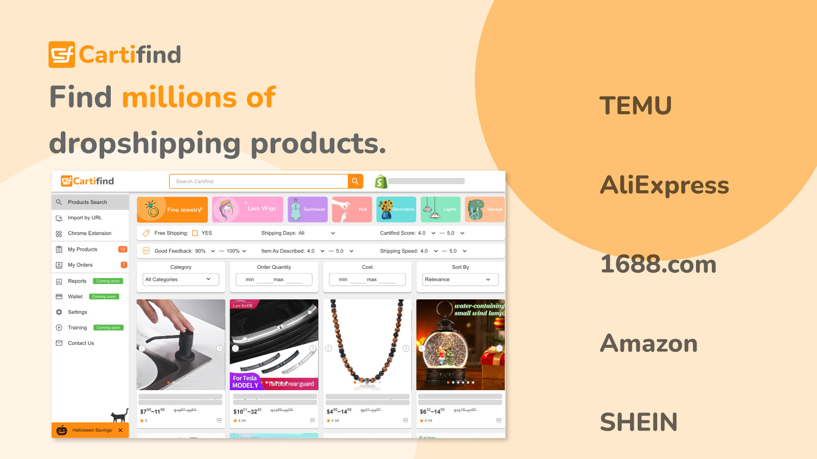 Temu & AliExpress Dropshipping