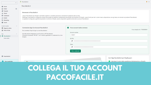 Paccofacile Shipping Solutions