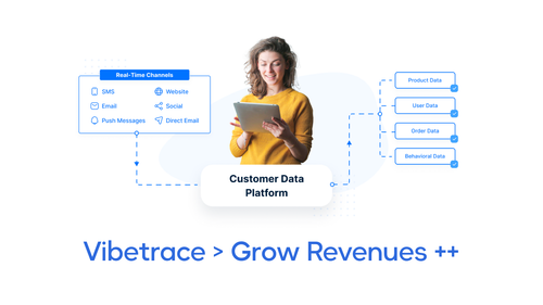 Vibetrace: Grow Revenues ++