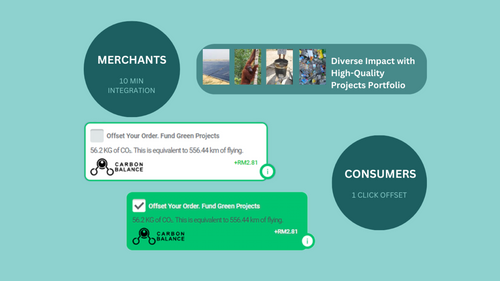 Carbon Balance ‑ Carbon Offset